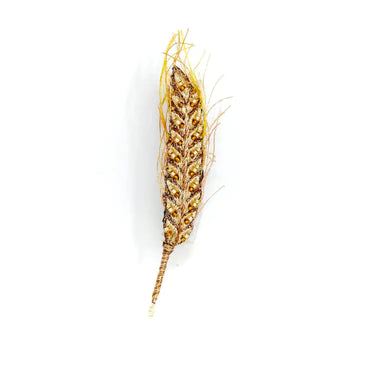 Embroidered Brooch - Ear of Wheat